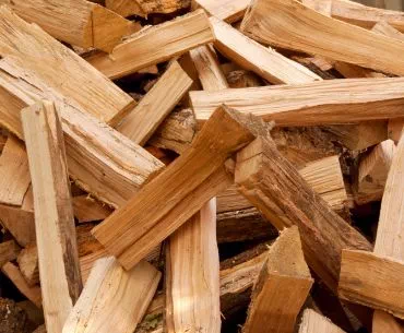 drewno na sprzedaż